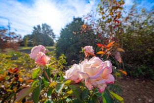 Single Family Residence,  Occidental road, Santa Rosa, CA 95401 - 48