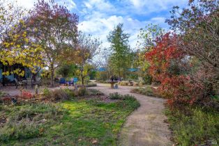 Single Family Residence,  Occidental road, Santa Rosa, CA 95401 - 38