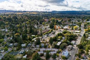 Single Family Residence,  Florence avenue, Sebastopol, CA 95472 - 59