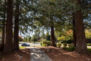 Single Family Residence,  Saint James drive, Sonoma, CA 95476 - 25