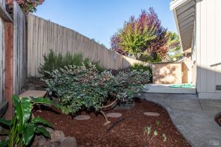 Single Family Residence,  Saint James drive, Sonoma, CA 95476 - 8