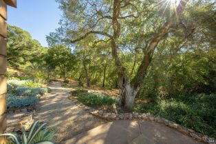 Single Family Residence,  Kinnybrook drive, Kenwood, CA 95452 - 27