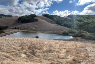 Agriculture,  Wilson Hill road, Petaluma, CA 94952 - 15