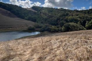 Agriculture,  Wilson Hill road, Petaluma, CA 94952 - 14