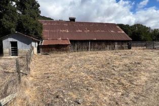 Agriculture,  Wilson Hill road, Petaluma, CA 94952 - 16