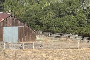 Agriculture,  Wilson Hill road, Petaluma, CA 94952 - 11