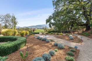 3+ Houses on Lot, 1350 Wooden Valley road, Napa, CA 94558 - 58