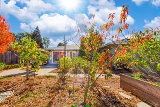 Single Family Residence,  Belhaven court, Santa Rosa, CA 95409 - 41