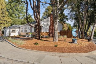 Single Family Residence,  Murphy avenue, Sebastopol, CA 95472 - 46