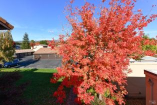 Condominium,  La Mancha drive, Sonoma, CA 95476 - 25