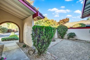 Single Family Residence,  Ellen way, Napa, CA 94558 - 8