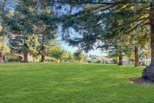 Condominium,  Dorado court, Santa Rosa, CA 95403 - 24