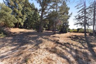 Single Family Residence,  Baker lane, Sebastopol, CA 95472 - 67