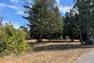 Single Family Residence,  Baker lane, Sebastopol, CA 95472 - 81