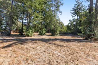 Single Family Residence,  Baker lane, Sebastopol, CA 95472 - 61