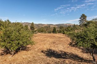 Single Family Residence,  Old Vineyard lane, Santa Rosa, CA 95404 - 43