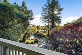 Single Family Residence,  Foothill drive, Santa Rosa, CA 95404 - 36