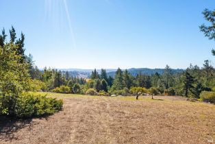 Single Family Residence,  Fiori lane, Sebastopol, CA 95472 - 2