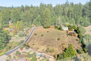 Single Family Residence,  Fiori lane, Sebastopol, CA 95472 - 4