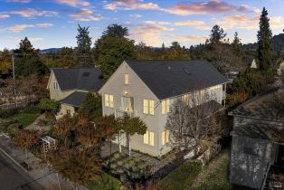 Single Family Residence,  East street, Healdsburg, CA 95448 - 48