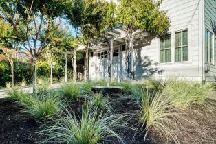 Single Family Residence,  East street, Healdsburg, CA 95448 - 6