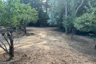 Single Family Residence,  Willow Creek road, Occidental, CA 95465 - 6