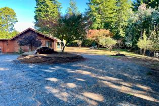 Single Family Residence,  Willow Creek road, Occidental, CA 95465 - 9