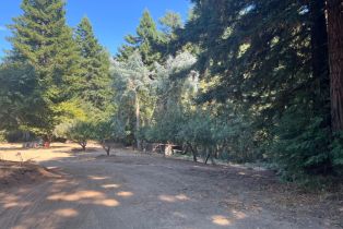 Single Family Residence,  Willow Creek road, Occidental, CA 95465 - 8