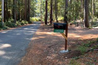 Single Family Residence,  Willow Creek road, Occidental, CA 95465 - 5