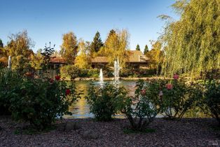 Condominium,  Fountain Grove circle, Napa, CA 94558 - 56