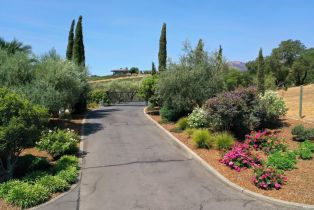 Single Family Residence,  Old Soda Springs road, Napa, CA 94558 - 92