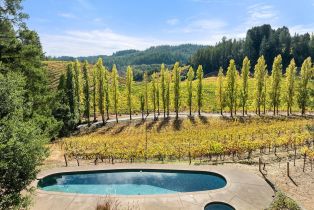 Single Family Residence,  Dry Creek road, Healdsburg, CA 95448 - 5