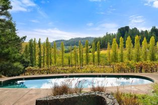 Single Family Residence,  Dry Creek road, Healdsburg, CA 95448 - 7