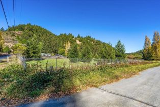 Residential Lot,  Laurel Dell avenue, Russian River, CA 95462 - 15