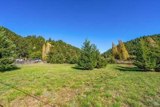 Residential Lot,  Laurel Dell avenue, Russian River, CA 95462 - 19