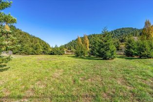 Residential Lot,  Laurel Dell avenue, Russian River, CA 95462 - 18