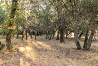 Residential Acreage,  Summer Meadow lane, Sonoma, CA 95476 - 15