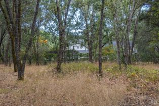 Residential Acreage,  Summer Meadow lane, Sonoma, CA 95476 - 8