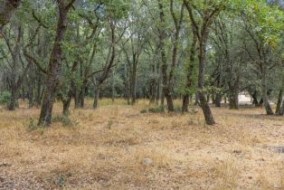 Residential Acreage,  Summer Meadow lane, Sonoma, CA 95476 - 7