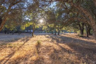 Residential Acreage,  Summer Meadow lane, Sonoma, CA 95476 - 14