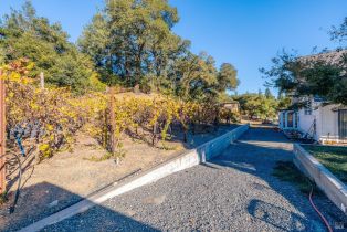 Single Family Residence,  Dry Creek road, Healdsburg, CA 95448 - 50