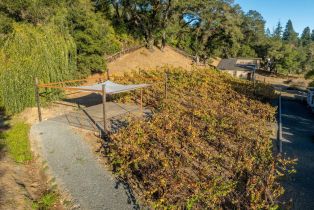 Single Family Residence,  Dry Creek road, Healdsburg, CA 95448 - 49