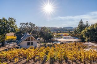 Single Family Residence,  Dry Creek road, Healdsburg, CA 95448 - 51