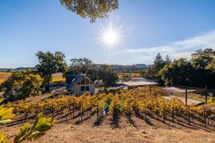 Single Family Residence, 995 Dry Creek Rd, Healdsburg, CA  Healdsburg, CA 95448