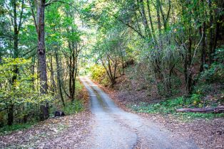 Single Family Residence,  Hwy 116 none, Russian River, CA 95436 - 53