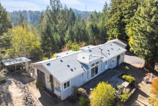 Single Family Residence,  Hwy 116 none, Russian River, CA 95436 - 4