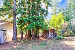 Single Family Residence,  Hwy 116 none, Russian River, CA 95436 - 49