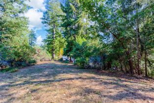 Single Family Residence,  Hwy 116 none, Russian River, CA 95436 - 52