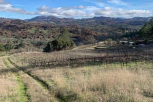 Residential Acreage,  Alpine road, Santa Rosa, CA 95404 - 28