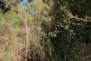 Residential Lot,  Summit avenue, Russian River, CA 95446 - 10